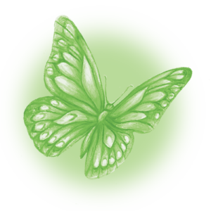 Butterfly - symbol of hope and change