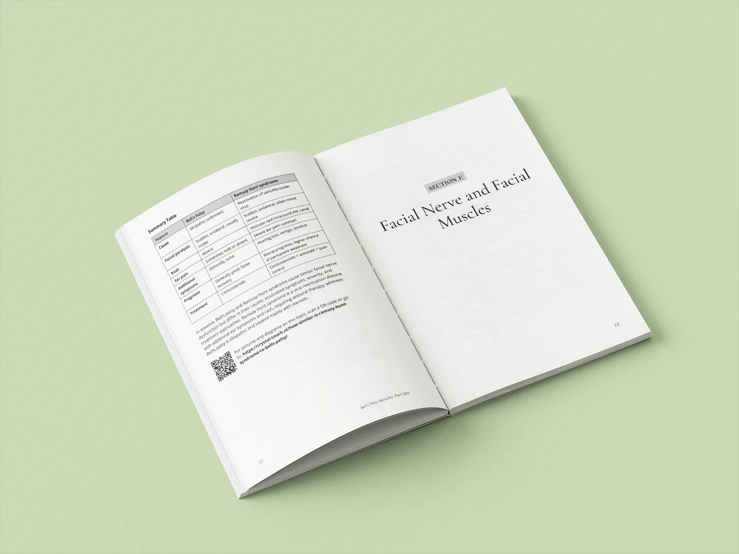 Sample page from Bell's Palsy and Ramsay Hunt Syndrome recovery book showing open pages of the book