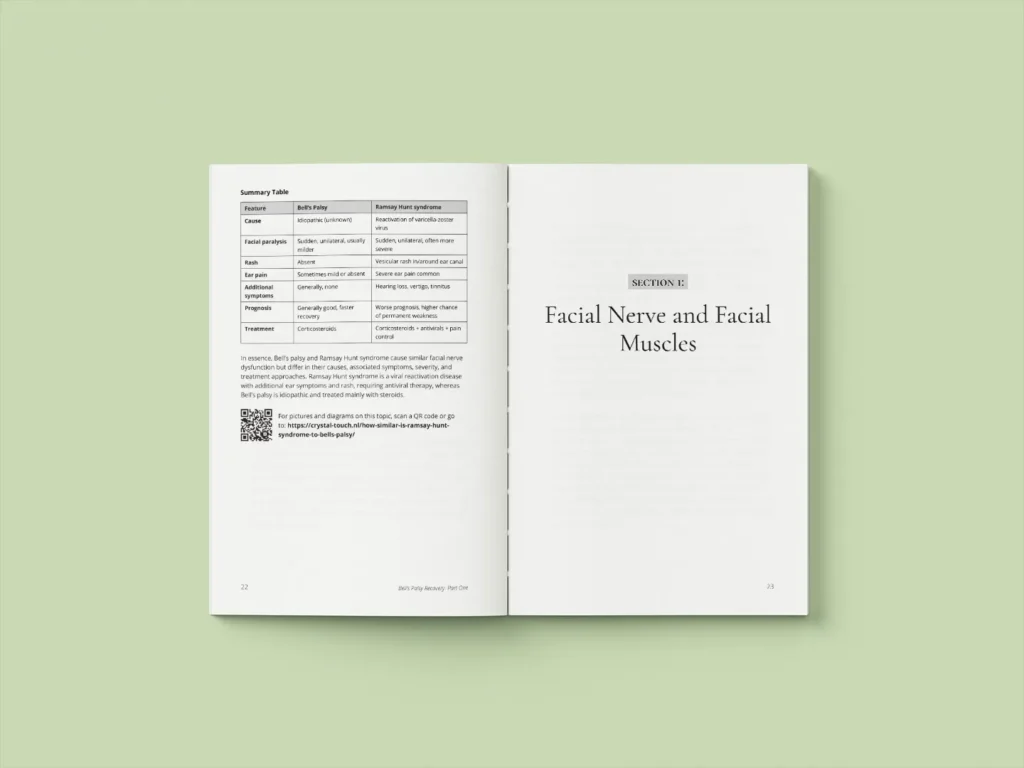 Sample page from Bell's Palsy and Ramsay Hunt Syndrome recovery book showing open pages of the book